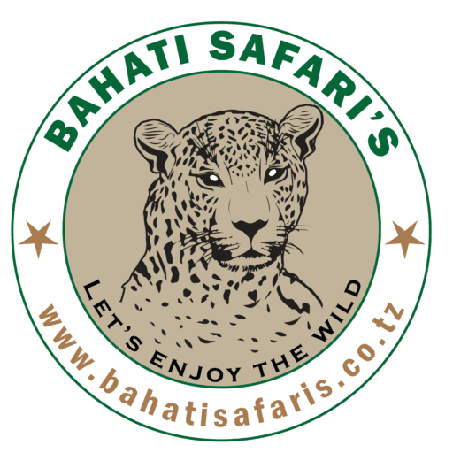 Bahati Safaris — Tanzania tour operator