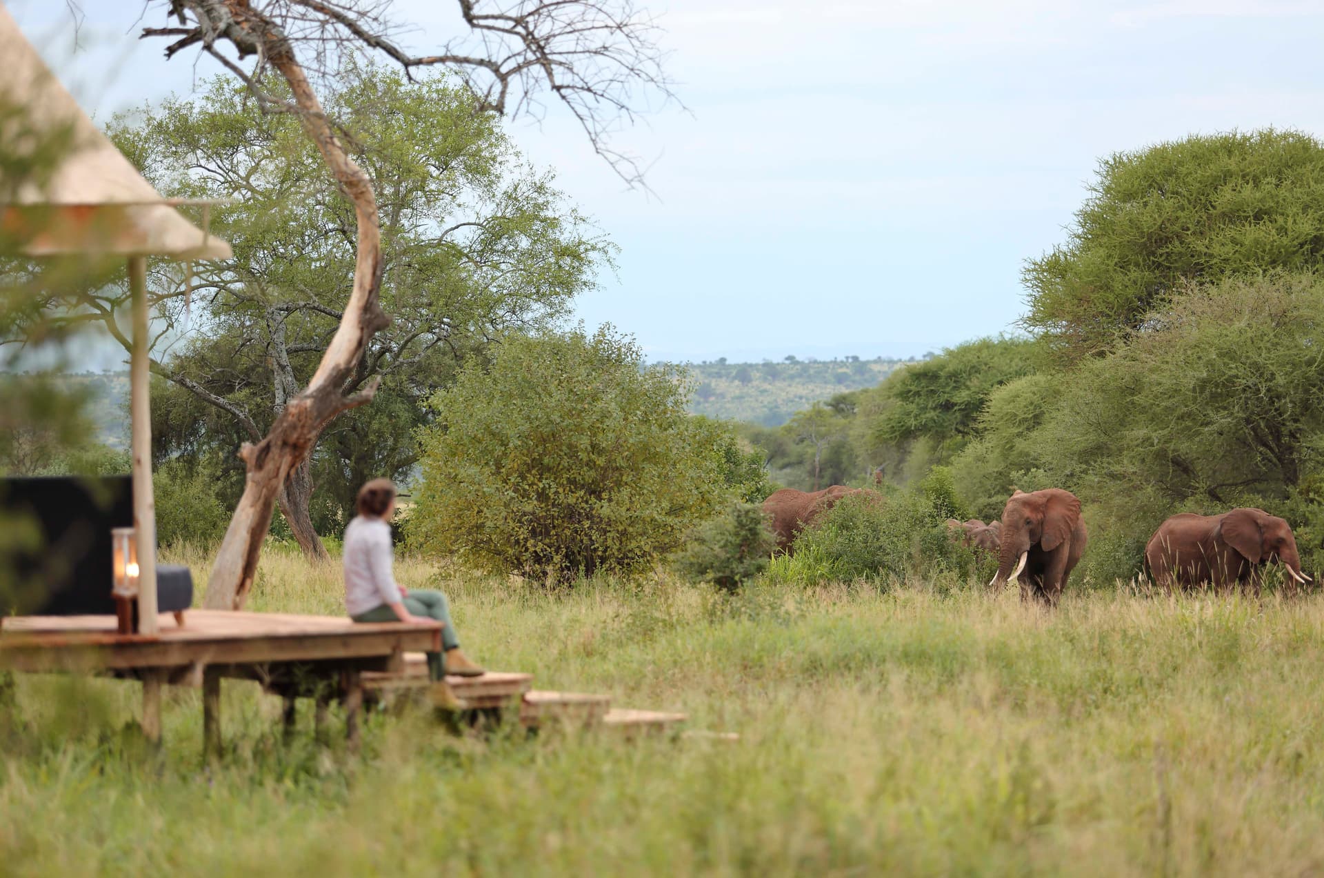 Passionate Guides Tanzania