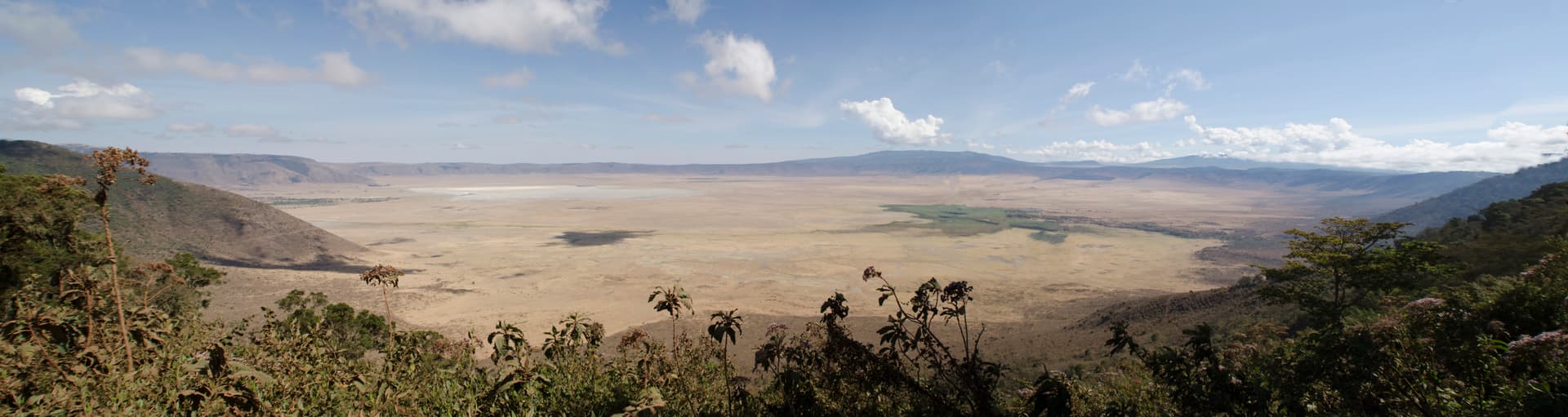 Ngorongoro