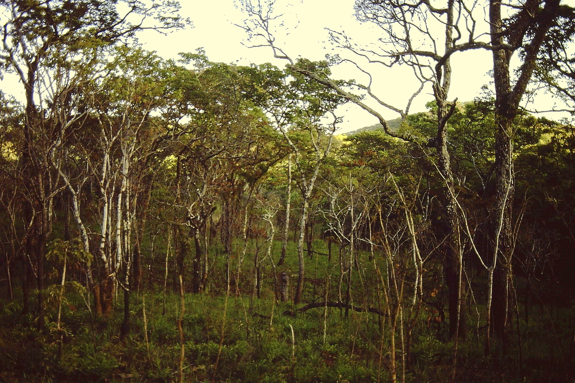 Ugalla River National Park