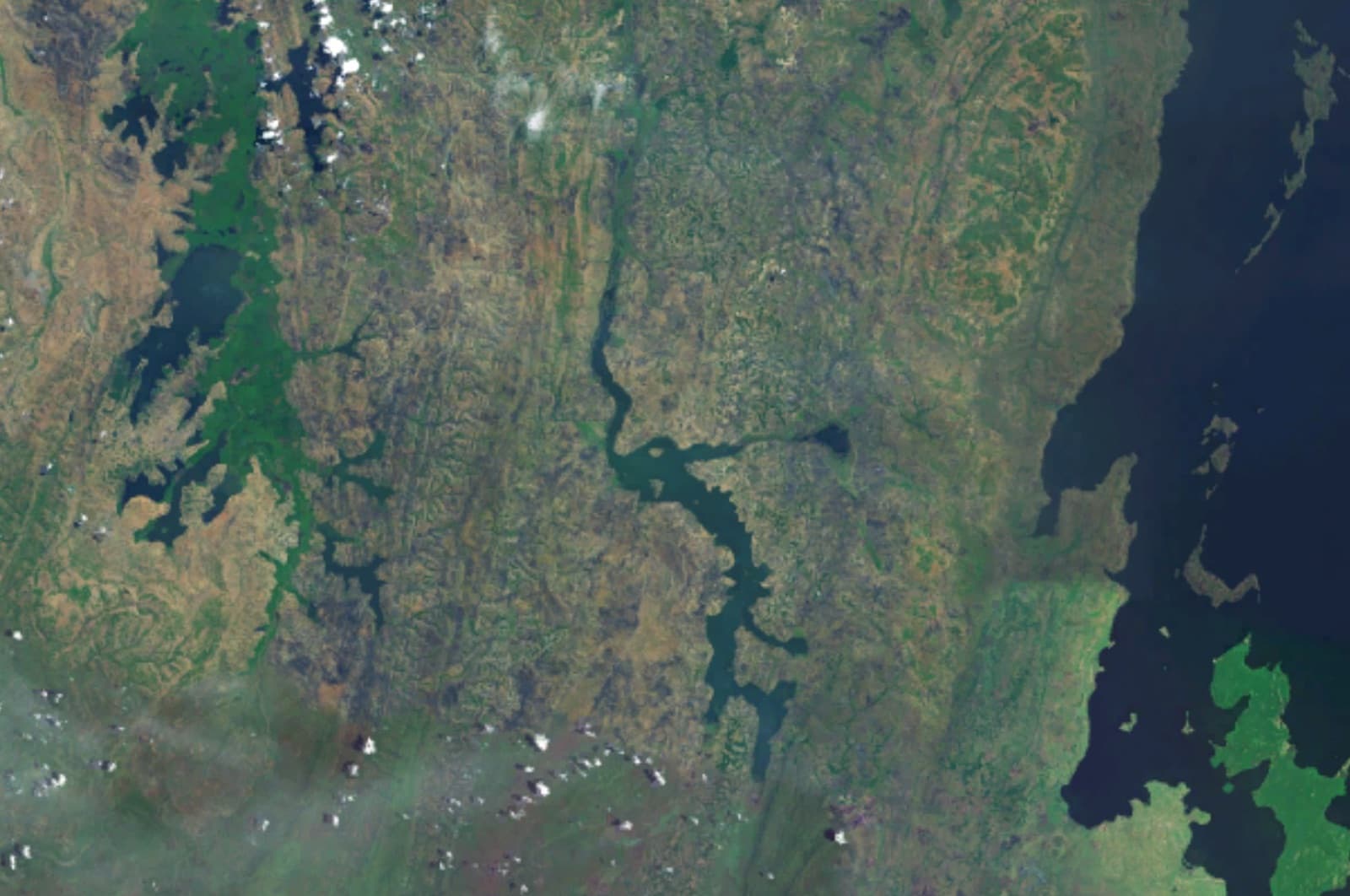 Northwestern Tanzania safari area, Tanzania
