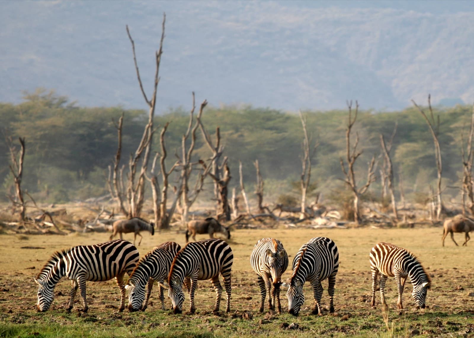 Lake Manyara