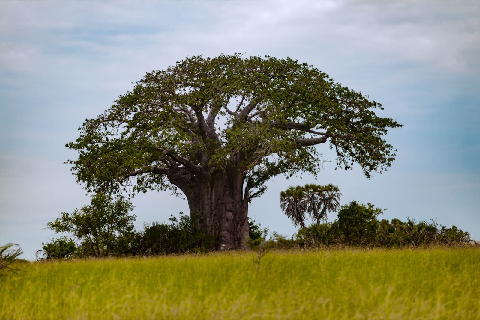 Quiet Weekend Escapes — Tanzania travel theme