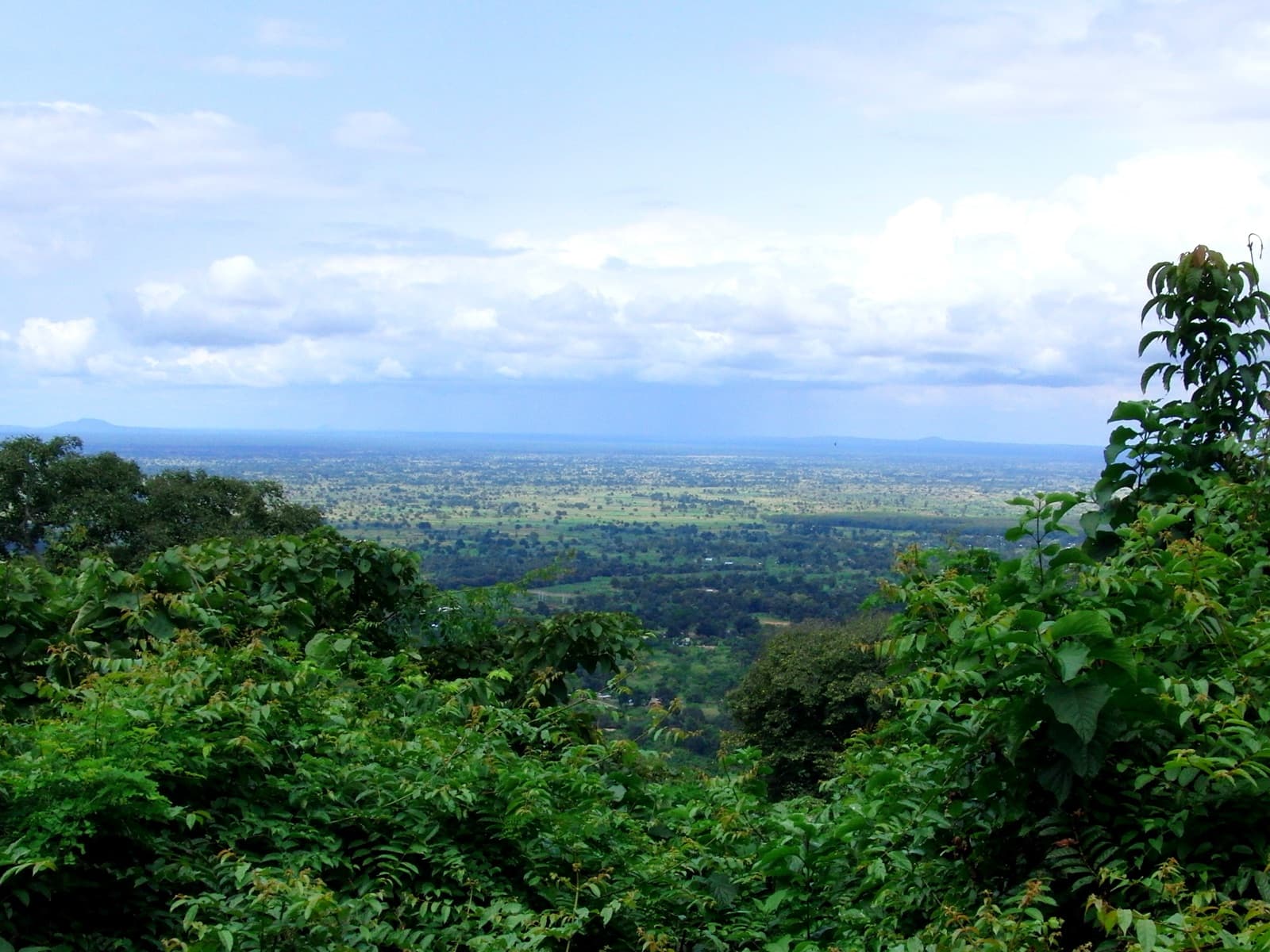 Southern Highlands safari area, Tanzania
