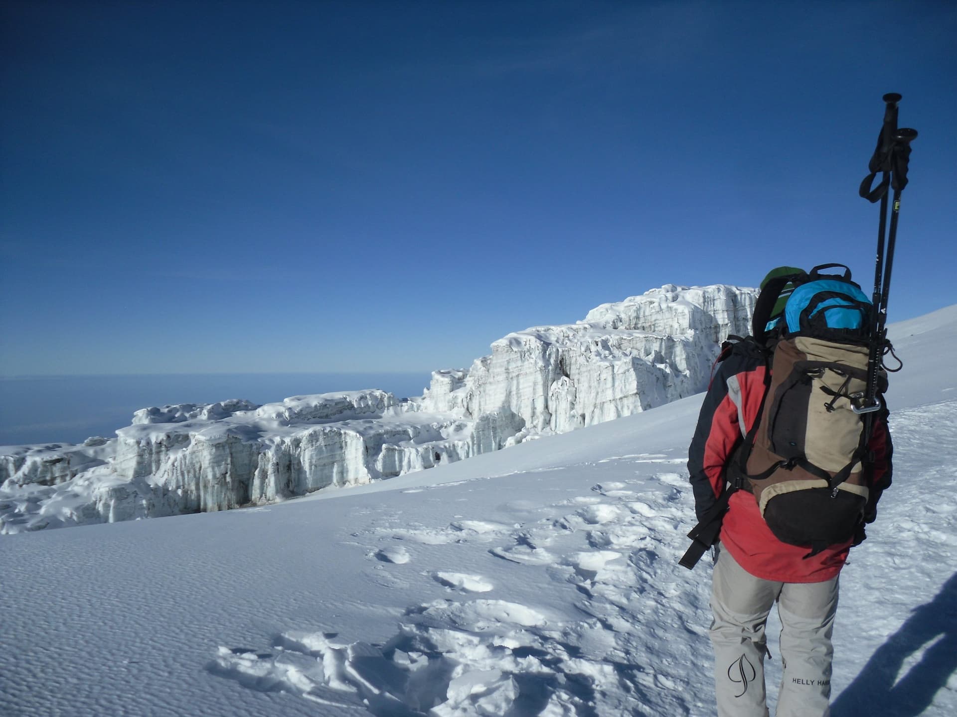 Explore Active — safari photo 5