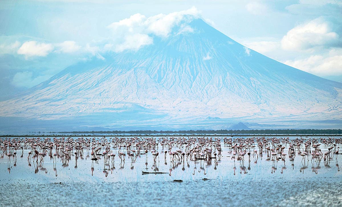 Explore Active — safari photo 6