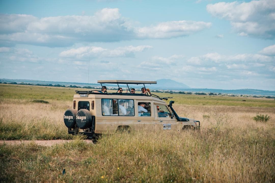 Joagro Safaris Tanzania — safari photo 2