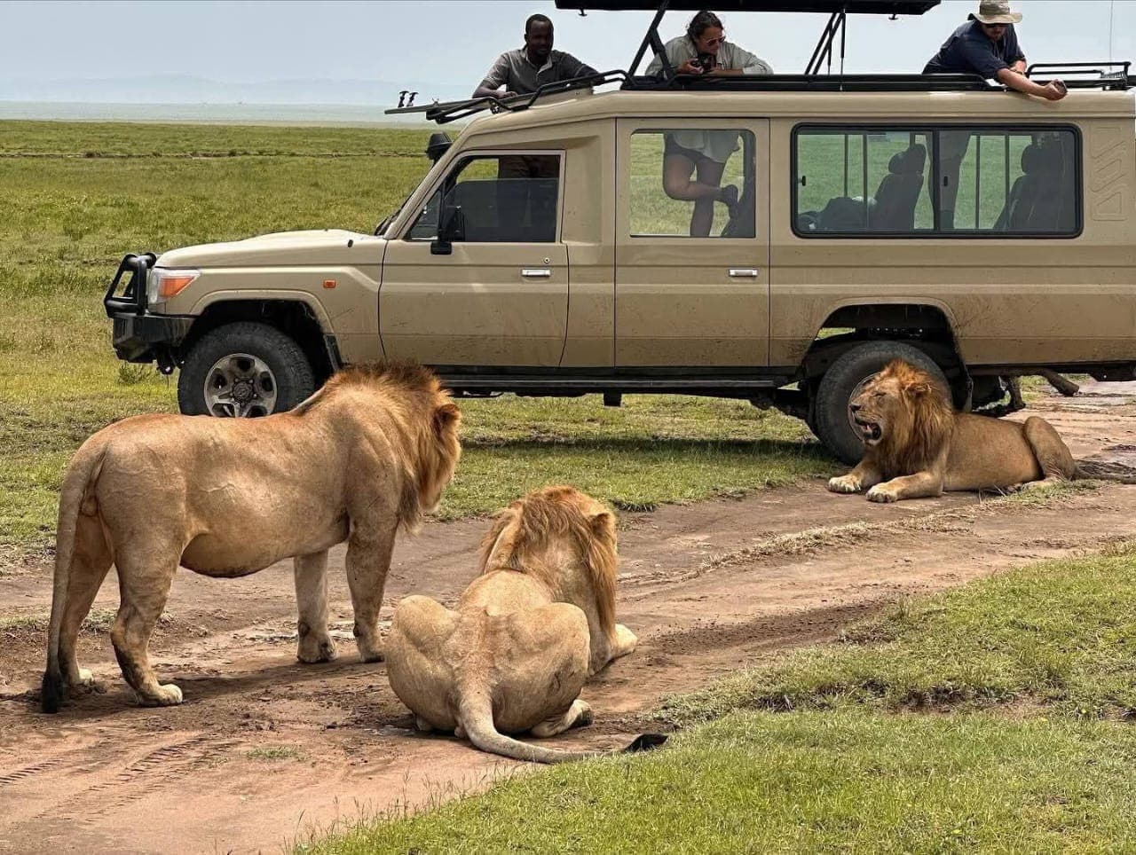 KILIMAP ADVENTURES — safari photo 1