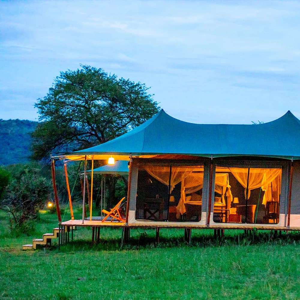 KILIMAP ADVENTURES — safari photo 4