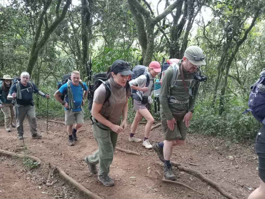 Peasant Travel — safari photo 6
