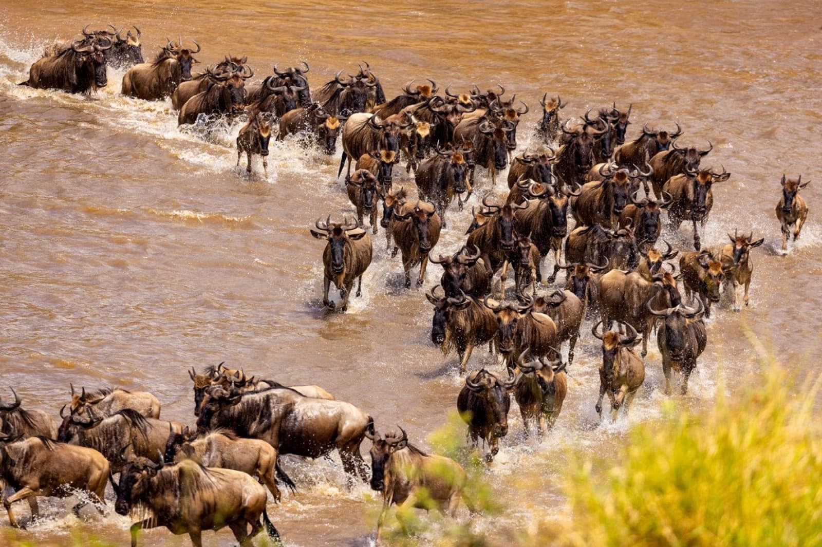 Africa Combo Tours — Tanzania tour operator