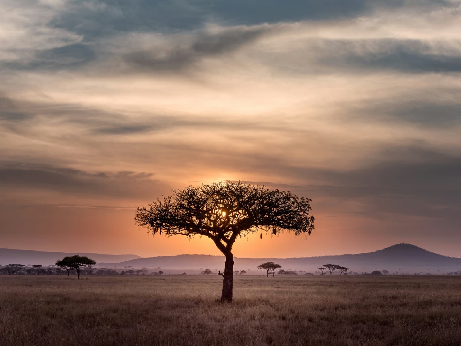 Jambo Masai Tours — Tanzania tour operator