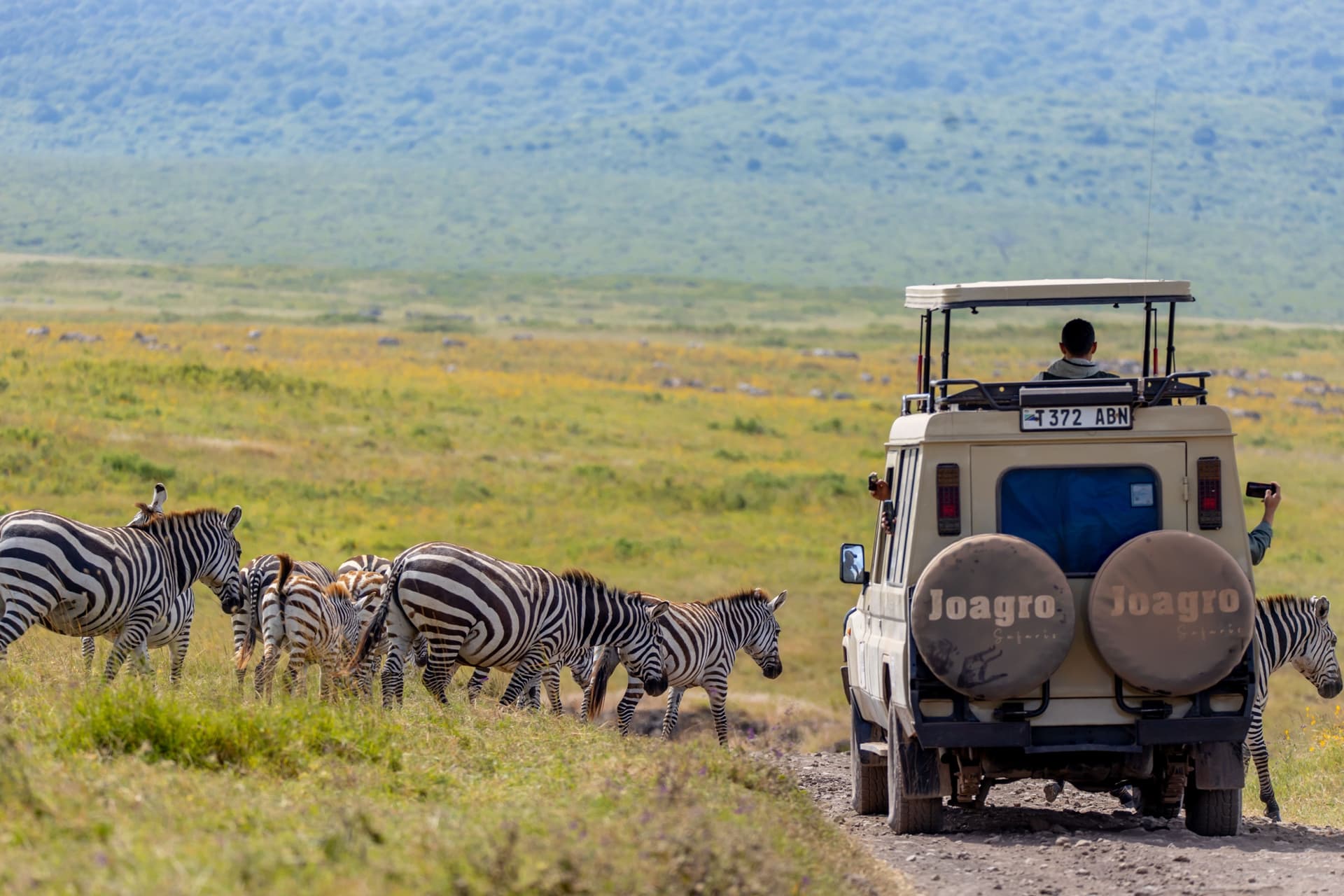 Joagro Safaris Tanzania