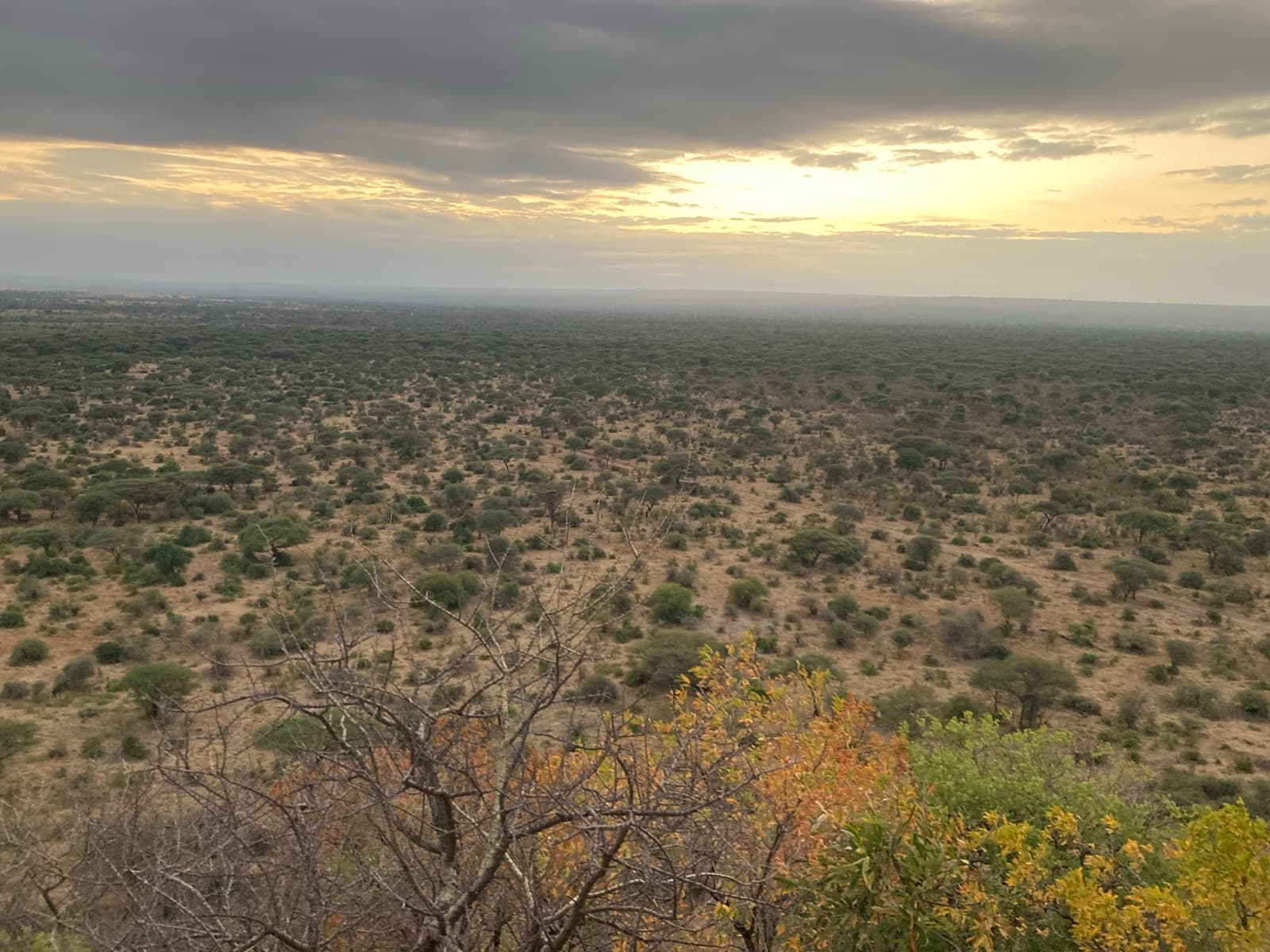 Papagei Tours and Safaris