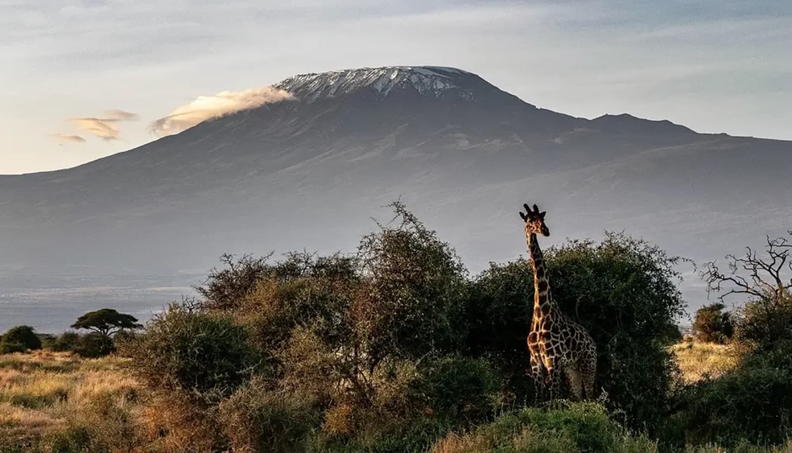 Peasant Travel — Tanzania tour operator