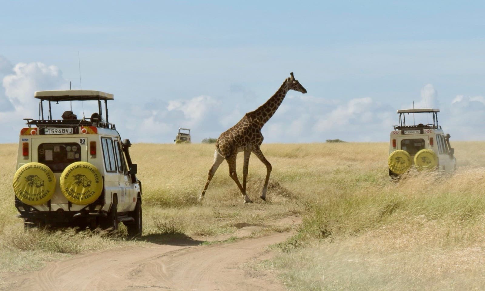 PREDATORS SAFARI CLUB — Tanzania tour operator