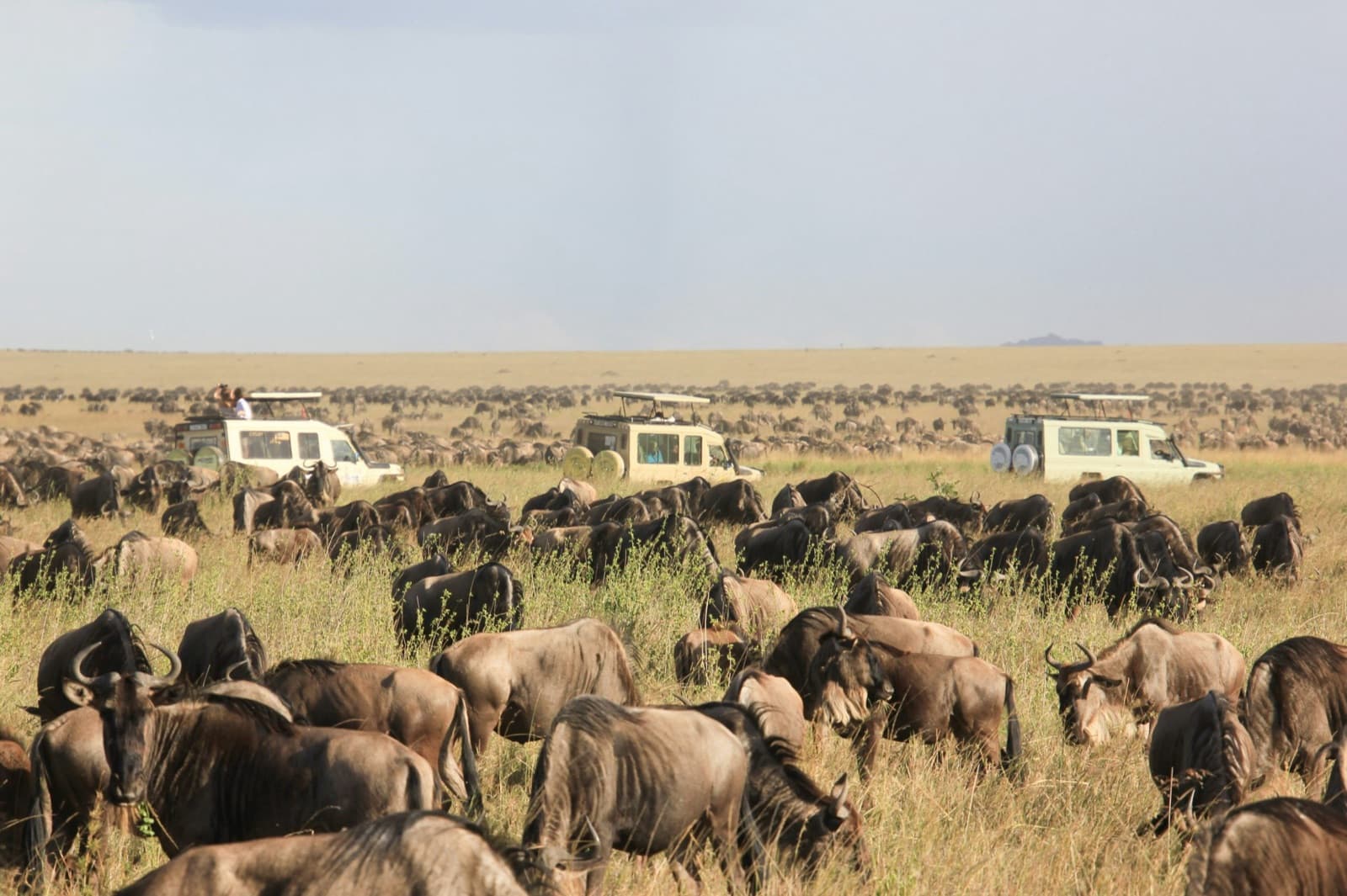 RA Safaris — Tanzania tour operator