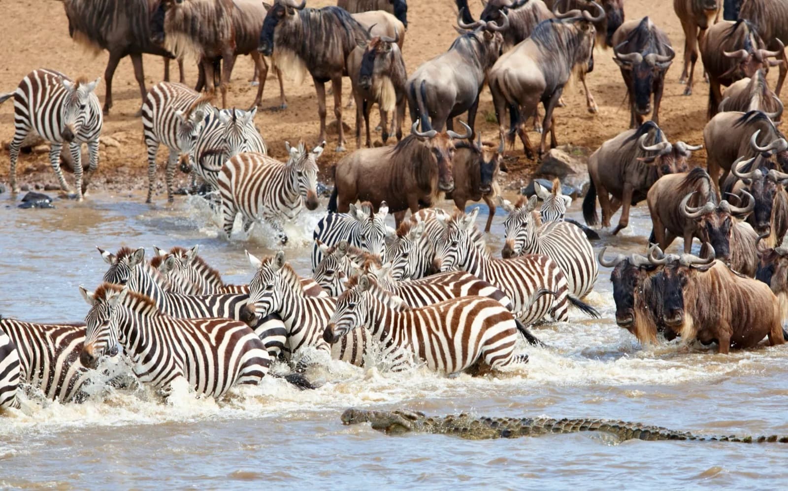 SURA SAFARI COMPANY LIMITED — Tanzania tour operator