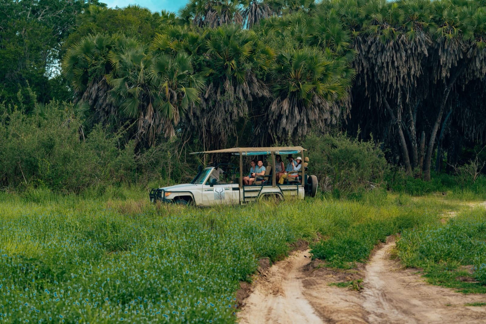 WILDVANTA TOURS AND TRAVEL — Tanzania tour operator