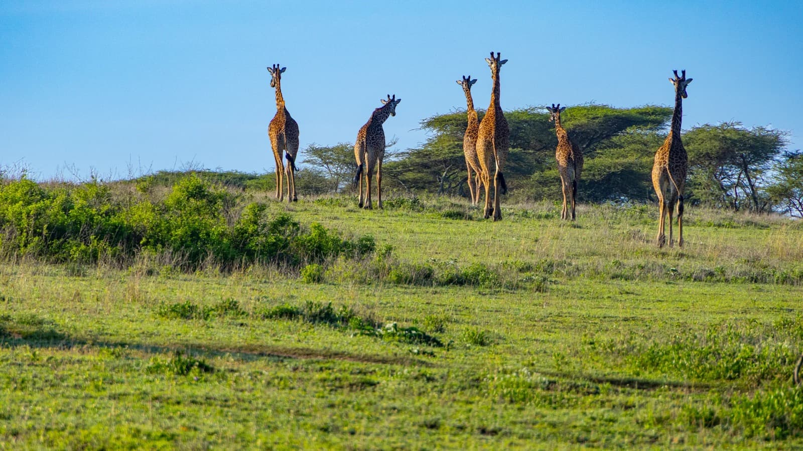 Yera Journeys — Tanzania tour operator