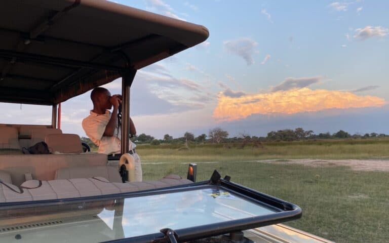 Wild Pride Safaris